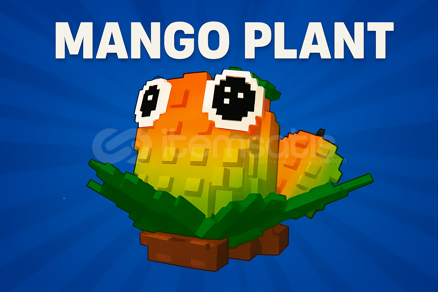 1 ADET MANGO PLANT!! 1 ADET MANGO PLANT!!