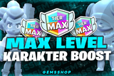 1 adet max tier boost (mike) 