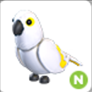 1 Adet No Pot White Amazon / Adopt Me