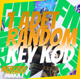 1 Adet Random Fortnite Skin Key & Anında