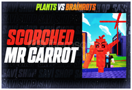 1 ADET SCORCHED MR CARROT