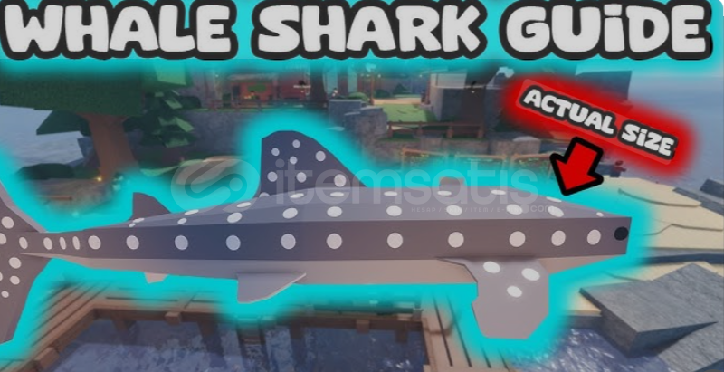 ⭐(1 ADET!) Whale Shark | Raise Animals ⭐ ⭐(1 ADET!) Whale Shark | Raise Animals ⭐