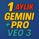 1 AY GARANTILI GEMINI 2.5 PRO VE VEO3 