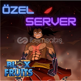 1 AY özel server / bloxfruit