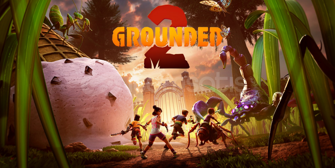 1 AY SİZE ÖZEL GROUNDED 2 HESAP 1 AY SİZE ÖZEL GROUNDED 2 HESAP
