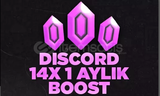 1 AYLIK 14X BOOST ( ANINDA+DESTEK )