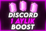 ✨ 1 AYLIK 14X BOOST | BOTSUZ