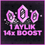 1 Aylık 14x Discord Boost