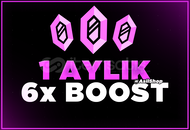 DISCORD 1 AYLIK 6X BOOST