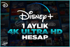 1 Aylık Disney Plus | 7/24 Oto Teslimat