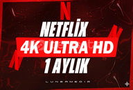1 AYLIK KİŞİYE ÖZEL KAPANMAYAN 4K NETFLİX
