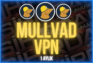 + 1 AYLIK MULLVAD VPN l DC GİRER l LOG TUTMAZ