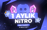 ⭐ 1 Aylık Nitro 2x Boost