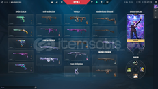 1 BIÇAK 2 VANDAL 21 SKİNLİ DOLU HESAP