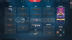 1 haftalık kiralık valorant hesabı