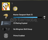 1 MADALYA PREMİER HAZIR HEMEN TESLİMM