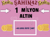 1 MİLYON ALTIN(40+ SEVİYE)