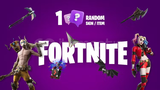 1 Random Fortnite Skin / Item Kodu Key