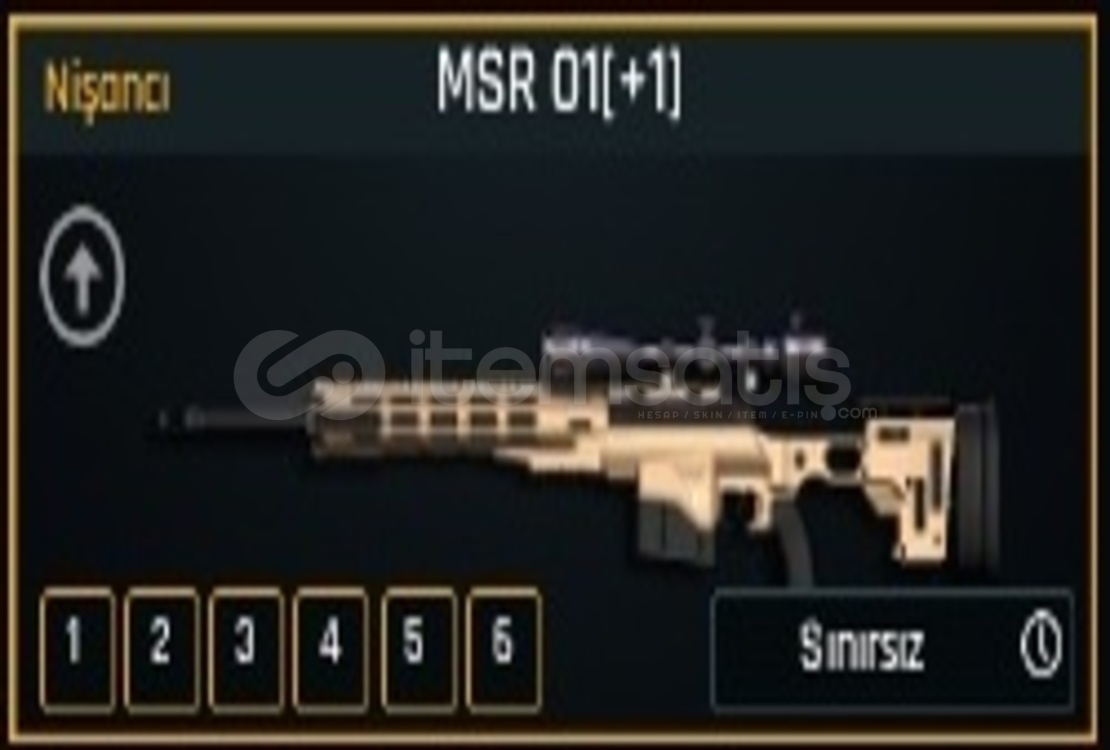 +1 SINIRSIZ MSR 01 +1 SINIRSIZ MSR 01