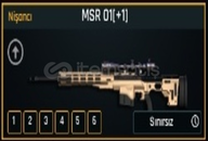 +1 SINIRSIZ MSR 01 +1 SINIRSIZ MSR 01