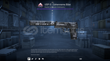 1 Stickerli USP-S (FT)