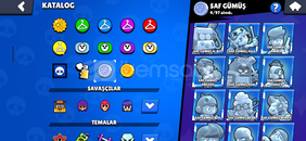 1 tane Prestijli Sağlam Hesab