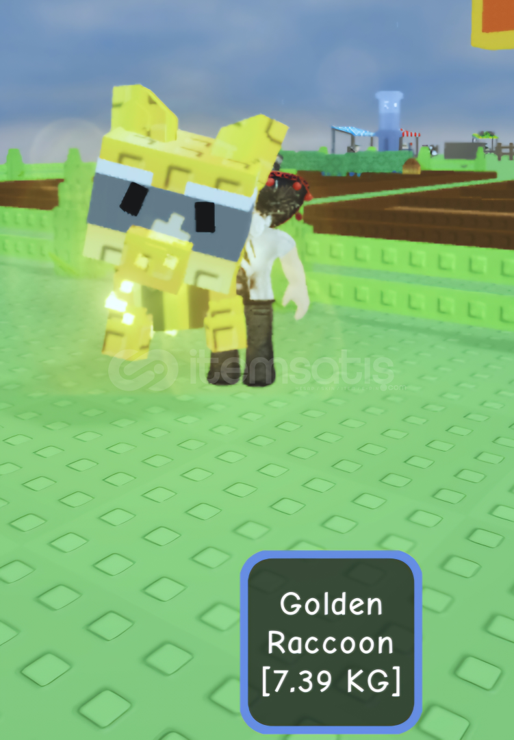 1 x Gold Raccoon / GROW A GARDEN  1 x Gold Raccoon / GROW A GARDEN