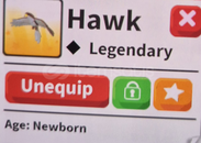 1 X HAWK ADOPT ME 