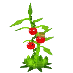 1 x Tomatrio 1 x Tomatrio