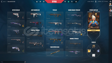 ⭐⭐ 1 YILLINA KİRALIK VALO HESAP⭐⭐