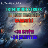 10 ADET İSTEDİĞİNİZ SW +30 SEVİYE RANDOM HESAP