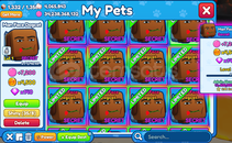 ⭐(10 ADET!) Man Face Dogcat (FIRSAT!)⭐ ⭐(10 ADET!) Man Face Dogcat (FIRSAT!)⭐