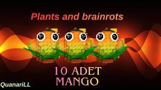  10 ADET MANGO