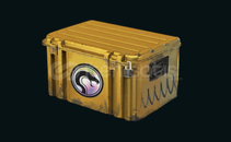 10 Adet Yılan Kasası