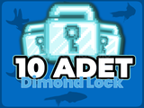 ⭐10 Diamond Lock Anında Teslimat