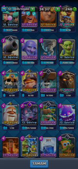 10 evrimli 8500 kupa 51 level hesap 