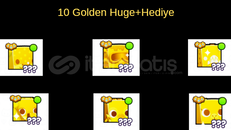 10 Golden Huge Pet+Hediye