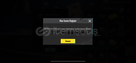 10 LEVEL İSİM DEGİSME AKTİF KLAN