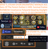 10 MADALYALI 23 LV 160 TL CS GO ENVANTERLİ Crea