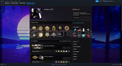 10 MADALYALI CS 2 HESABI