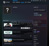 10 OG OYUNLU KİŞİSEL STEAM HESAP