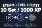 10 SET / 1000 XP - STEAM LEVEL BOOST