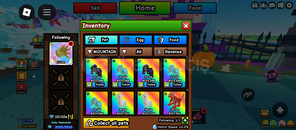 10 tane +200K Random Pet 