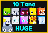 10 Tane Huge PS99