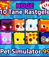 10 TANE RASTGELE HUGE PET 