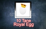 10X Royal Egg (Adopt Me)
