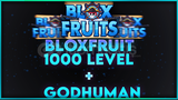 ⭐️(%100) 1000 LEVEL+GODHUMAN HESAP - HaxiStore