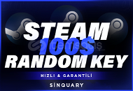 +100$ (3000₺) Steam Key / Garantili
