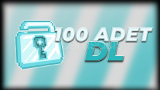 100 ADET DL 1400 TL