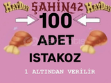100 ADET ISTAKOZ KUYRUĞU